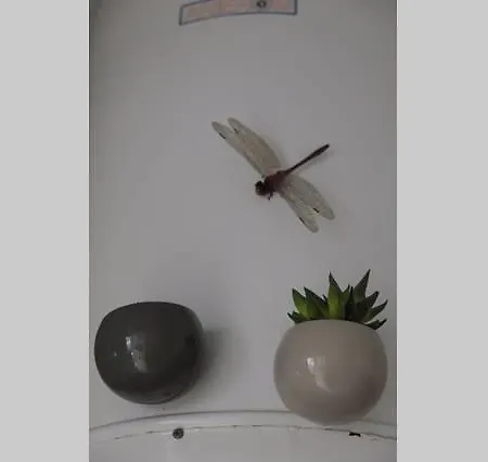 דירה Cozy Flat In Central פורטו